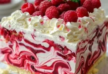 Himbeer-Swirl-Eiscremekuchen! Perfekt für eine Sommerfreude.