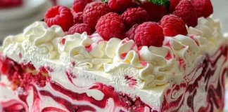 Himbeer-Swirl-Eiscremekuchen! Perfekt für eine Sommerfreude.